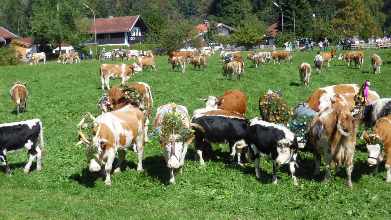 Ferienwohnung Fritzenwenger Übersee Buitenkant foto