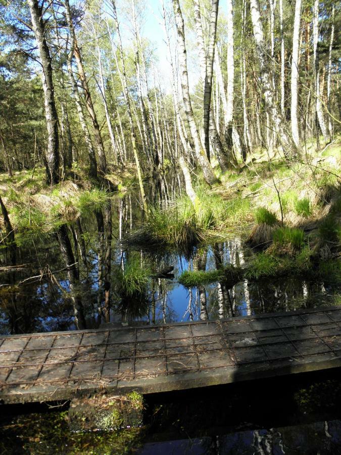 Ferienwohnung Fritzenwenger Übersee Buitenkant foto