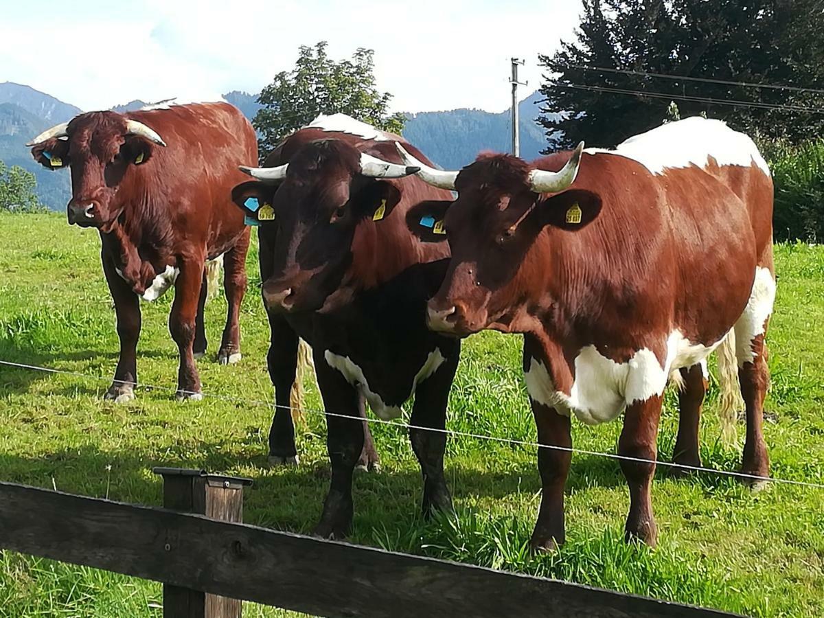 Ferienwohnung Fritzenwenger Übersee Buitenkant foto