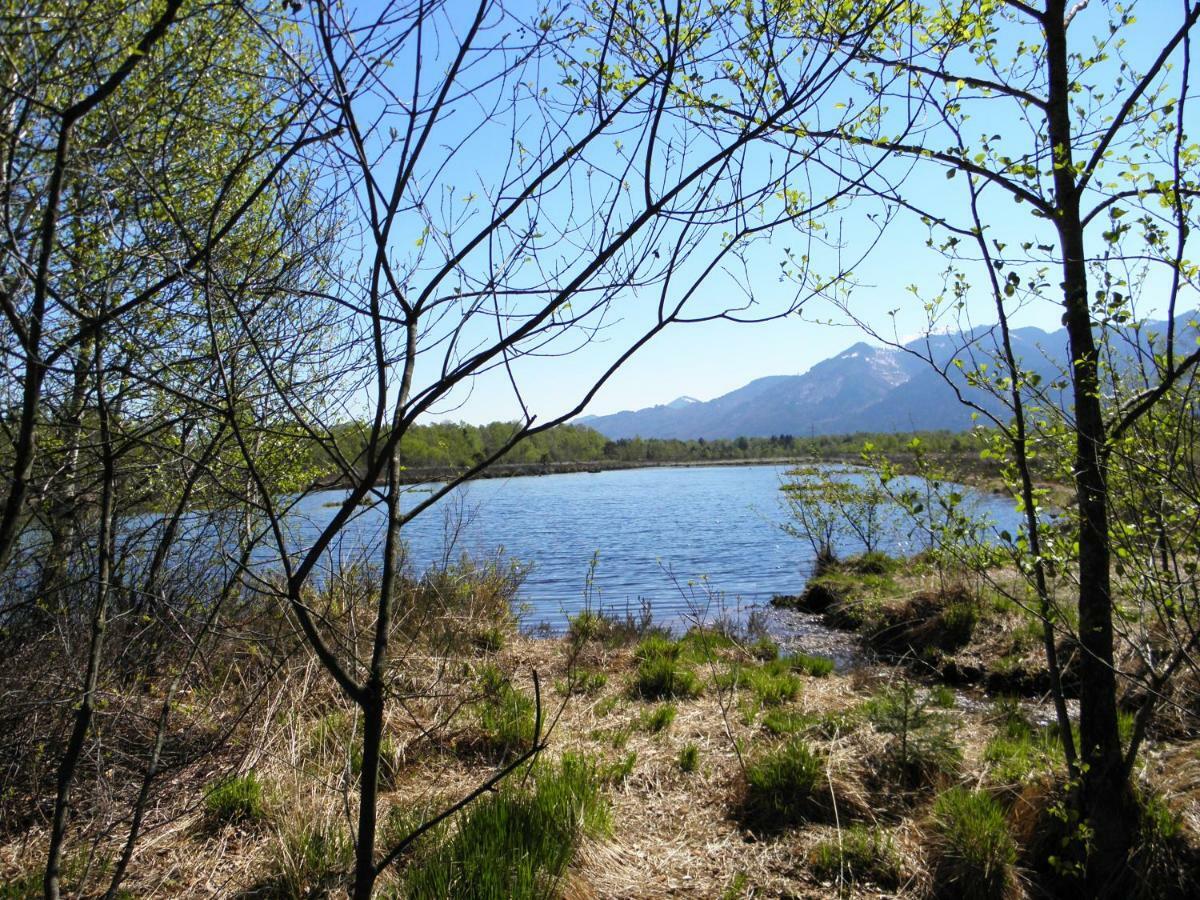 Ferienwohnung Fritzenwenger Übersee Buitenkant foto